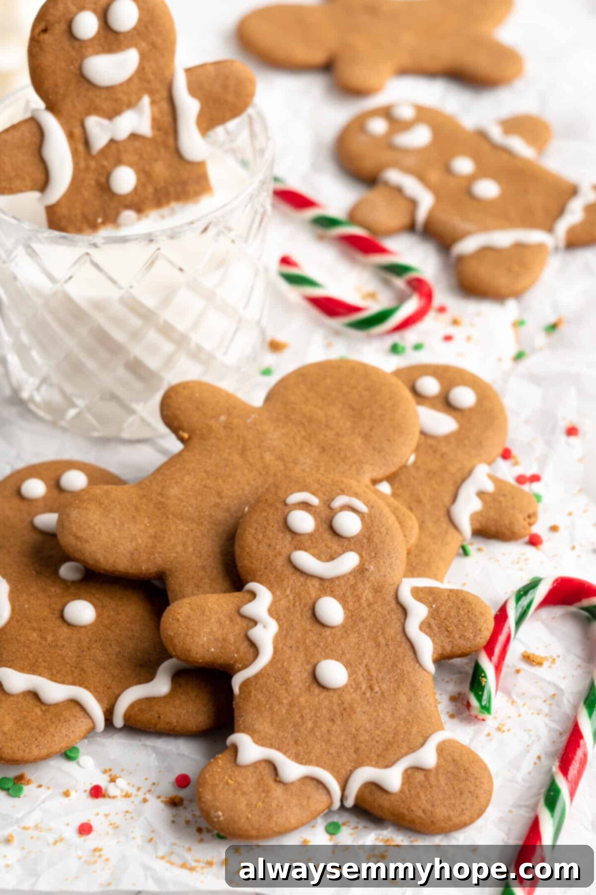 A pile of decorated gingerbread men cookies and one undecorated cookie, with candy canes around