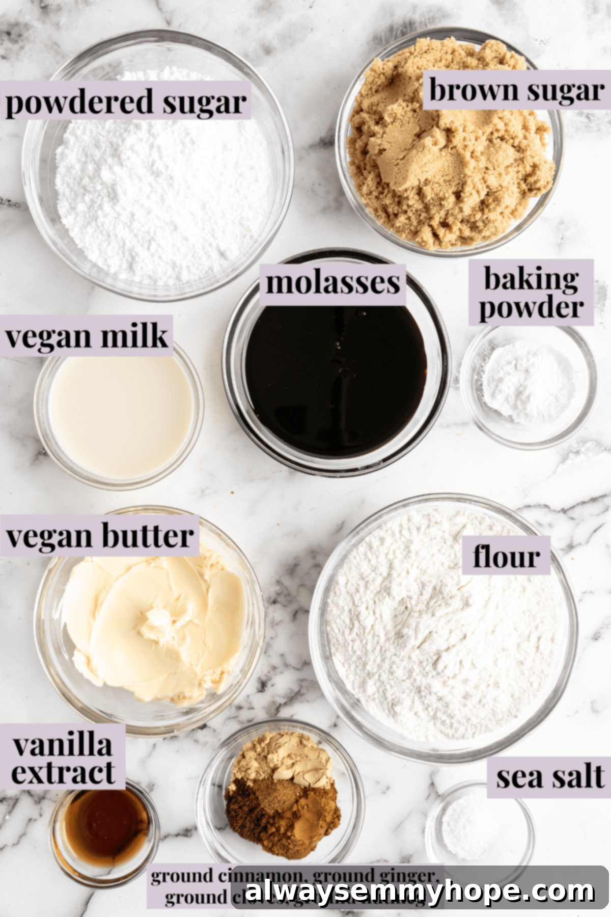 Overhead view of all the labeled ingredients for gingerbread men: powdered sugar, brown sugar, vegan milk, molasses, baking powder, vegan butter, flour, vanilla extract, sea salt, and a bowl of cinnamon, nutmeg, ginger, and closves