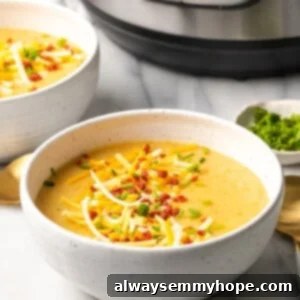 Velvety Vegan Instant Pot Potato Soup 3 A bowl of potato soup topped with vegan cheese, vegan bacon bits, and chives, with another bowl of soup, a bowl of chives, a spoon, and an Instant Pot in the background