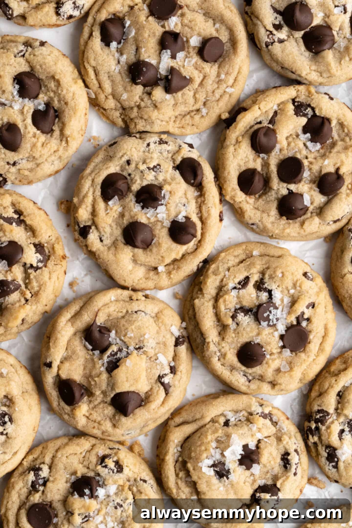 close up of Vegan chocolate chip cookies on parchment paper, showing their perfectly baked texture and melted chocolate chips