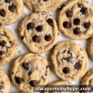 close up of Vegan chocolate chip cookies on parchment paper