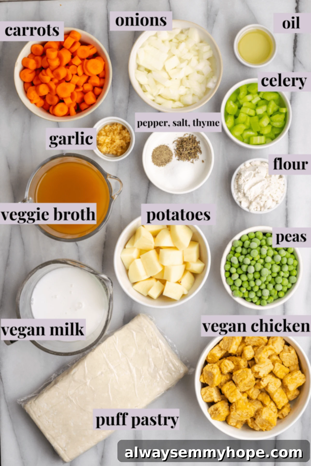An overhead view of all the labeled ingredients neatly arranged for a vegan chicken pot pie casserole, including bowls of carrots, onions, oil, celery, vegetable broth, garlic, salt, pepper, thyme, flour, peas, potatoes, vegan milk, vegan chicken pieces, and a sheet of puff pastry.
