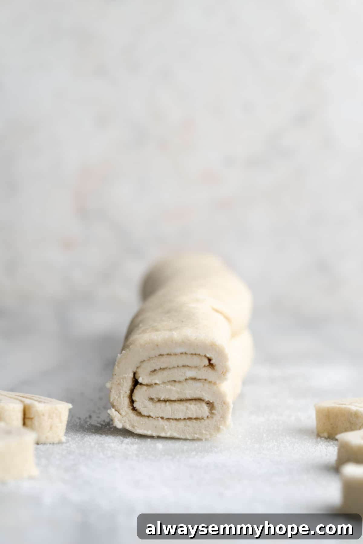 Cross section of puff pastry palmier dough folded onto itself