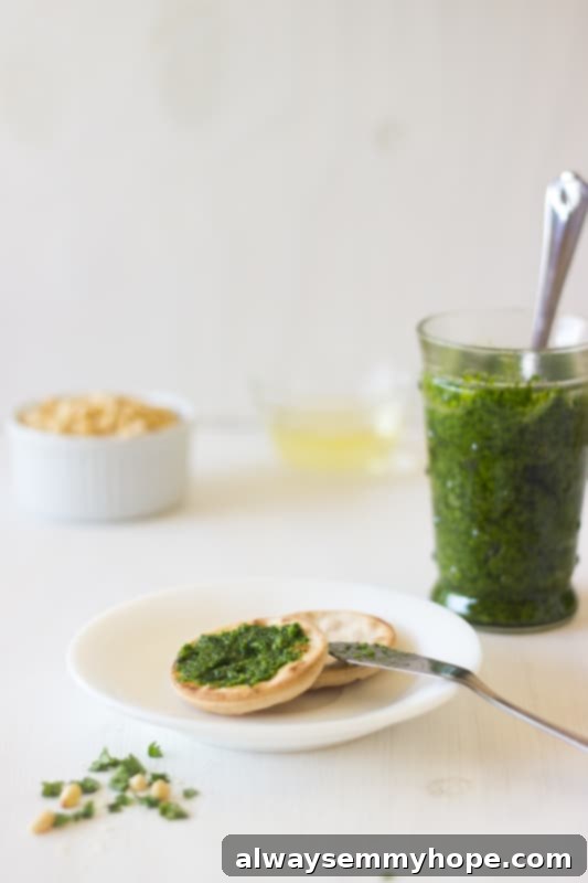 Parsley Pesto spread on a cracker with a jar of pesto in the background.