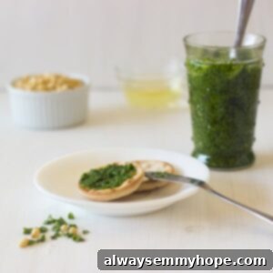 Parsley pest on crackers.