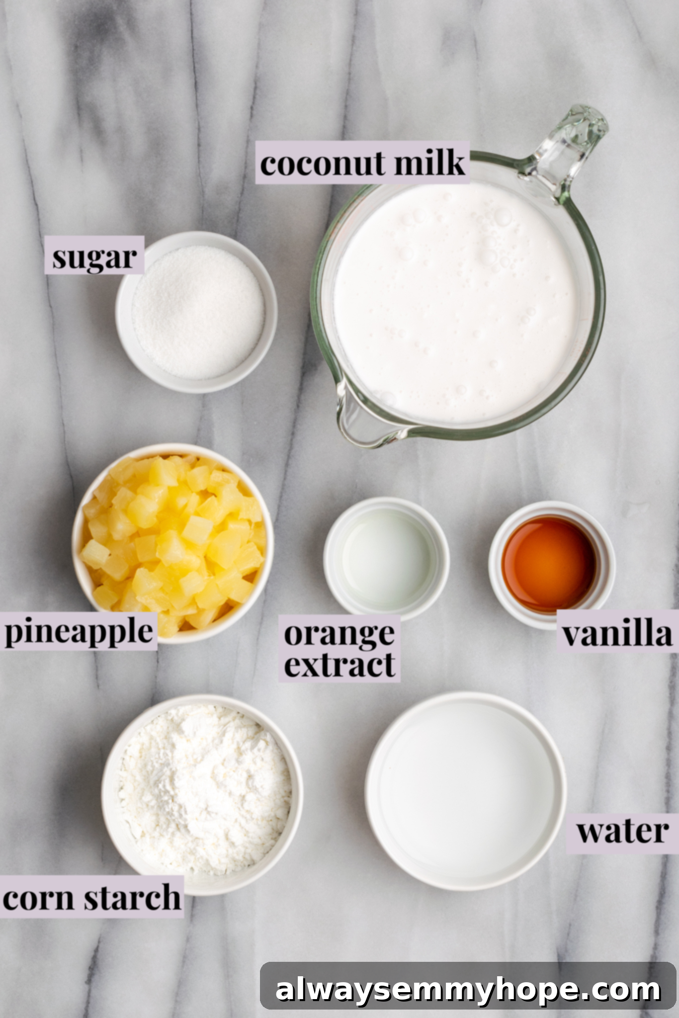 Hawaiian Coconut Haupia 4 Overhead shot of all the haupia ingredients neatly arranged with labels, including coconut milk, sugar, extracts, cornstarch, water, and fresh pineapple tidbits.