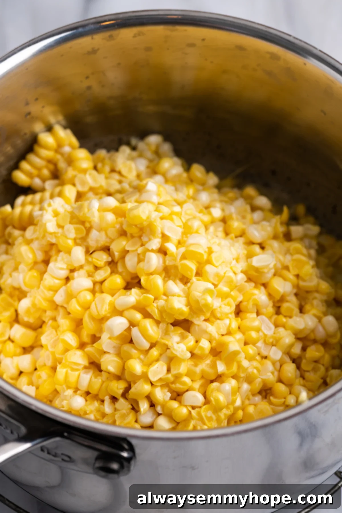 My recipe for vegan creamed corn is an easy way to make this crowd-pleasing side dish without the dairy milk and butter! Prepared fresh corn added to the pot with onions and thickening agents
