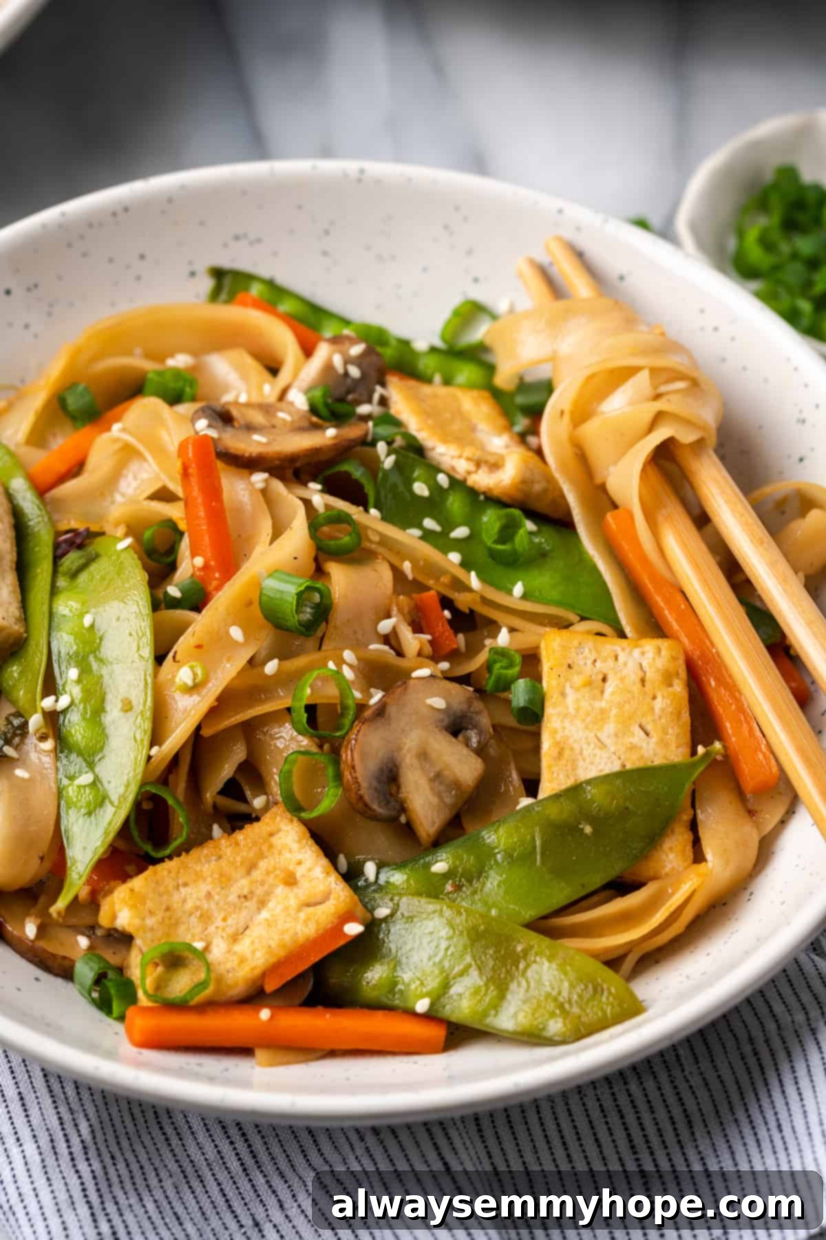Experience the best vegan Chow Fun Noodles: loaded with veggies, chewy tofu, and a sticky-sweet sauce. It's truly better than takeout! Bowl of chow fun noodles with chopsticks, garnished with fresh scallions.