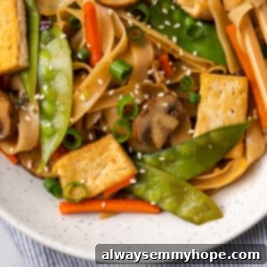 Chow Fun 3 Overhead view of healthy chow fun noodles with chopsticks