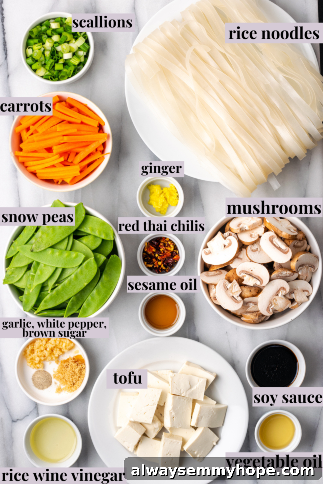 Fresh and vibrant: The essential ingredients for crafting the perfect vegan Chow Fun noodles, better than takeout! Overhead view of all ingredients for chow fun noodles, neatly arranged with labels.