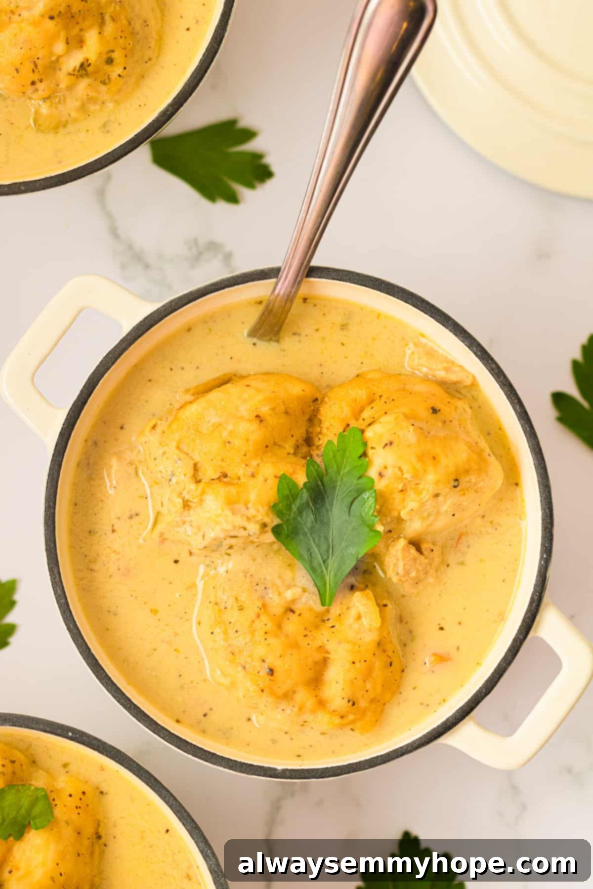 An inviting overhead view of a bowl of vegan chicken and dumplings, highlighting the creamy broth and fluffy dumplings. Overhead shot of a rustic bowl filled with hearty vegan chicken and dumplings, garnished with fresh herbs.