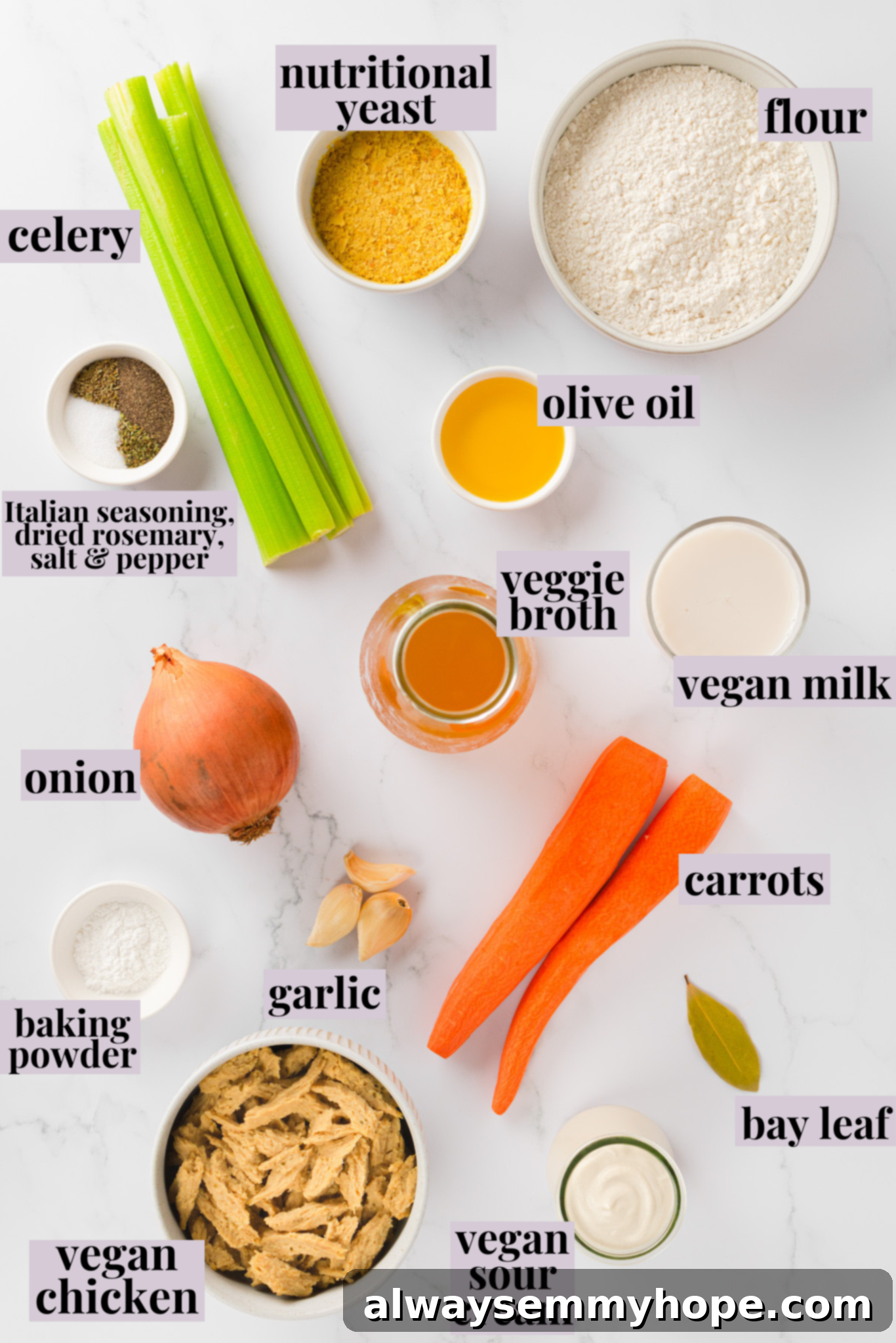 A beautiful flat lay of fresh ingredients for vegan chicken and dumplings, ready for preparation. Overhead view of all prepped ingredients for vegan chicken and dumplings with clear labels
