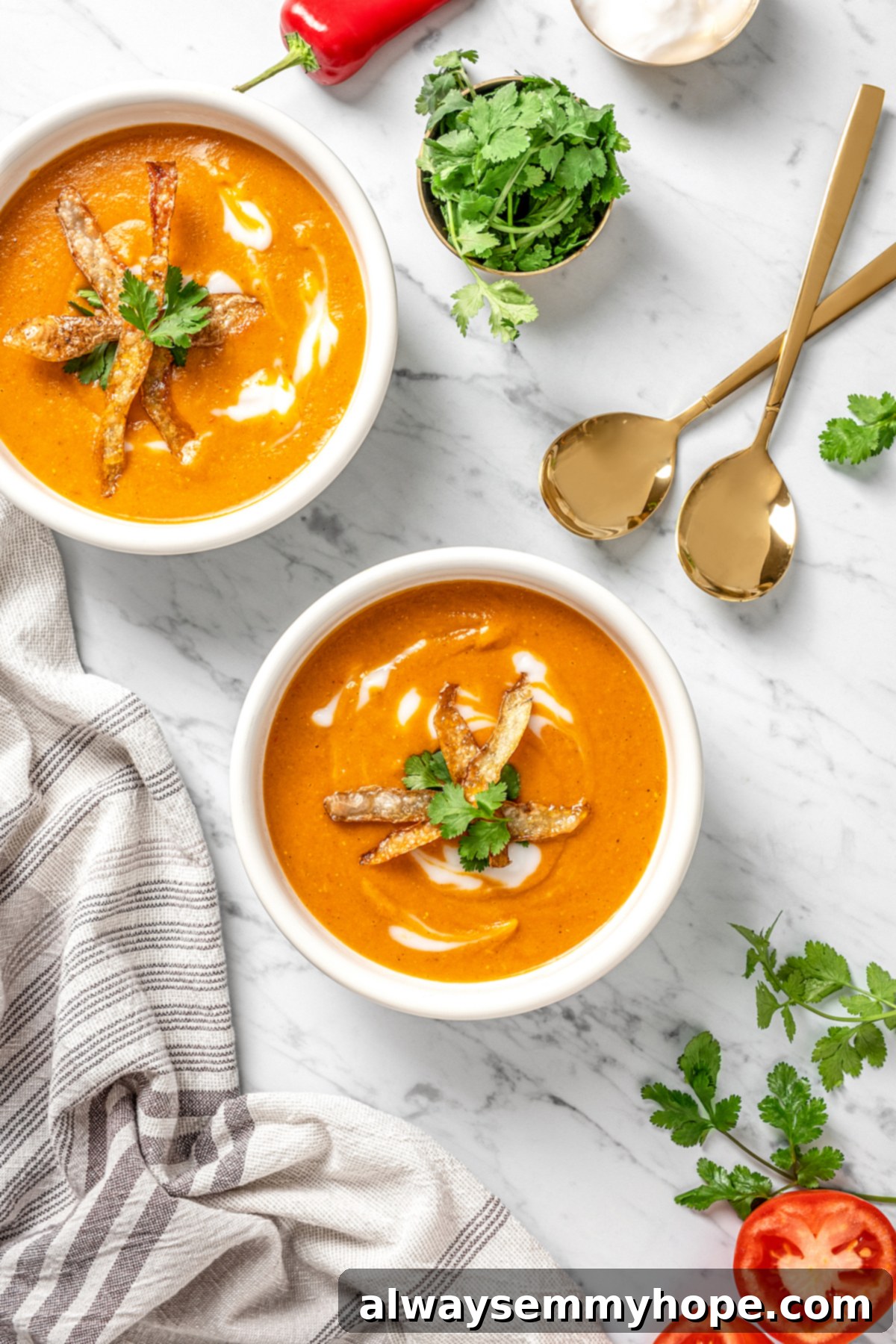 Overhead view of two bowls of vegan mulligatawny soup, garnished with vegan yogurt swirls, crispy potato skins, and cilantro.