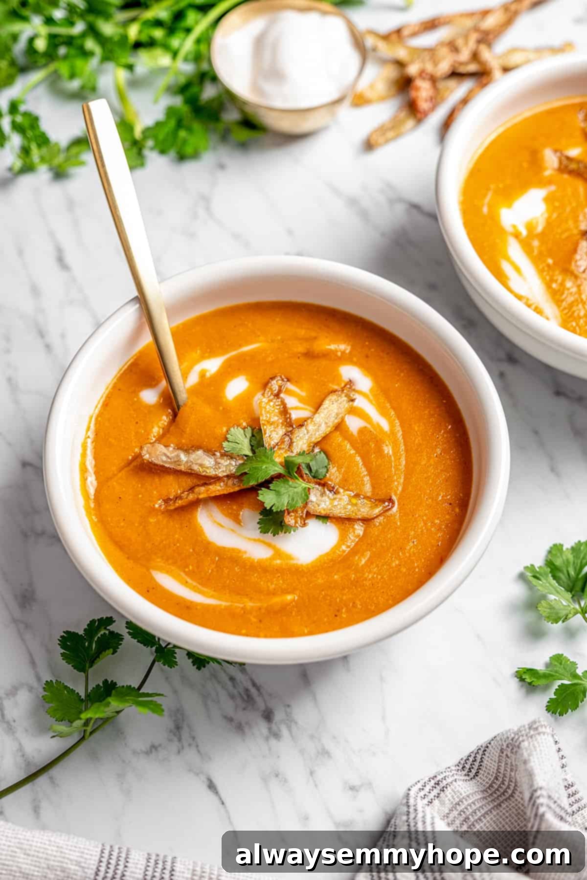 Close-up of a bowl of vegan mulligatawny soup with a gold spoon, highlighting the rich texture and garnishes.