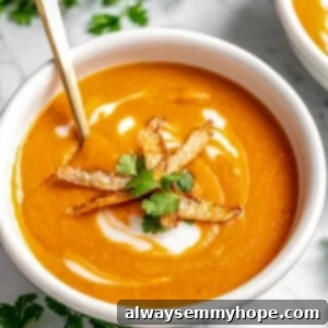 Bowl of vegan mulligatawny topped with potato skins and cilantro