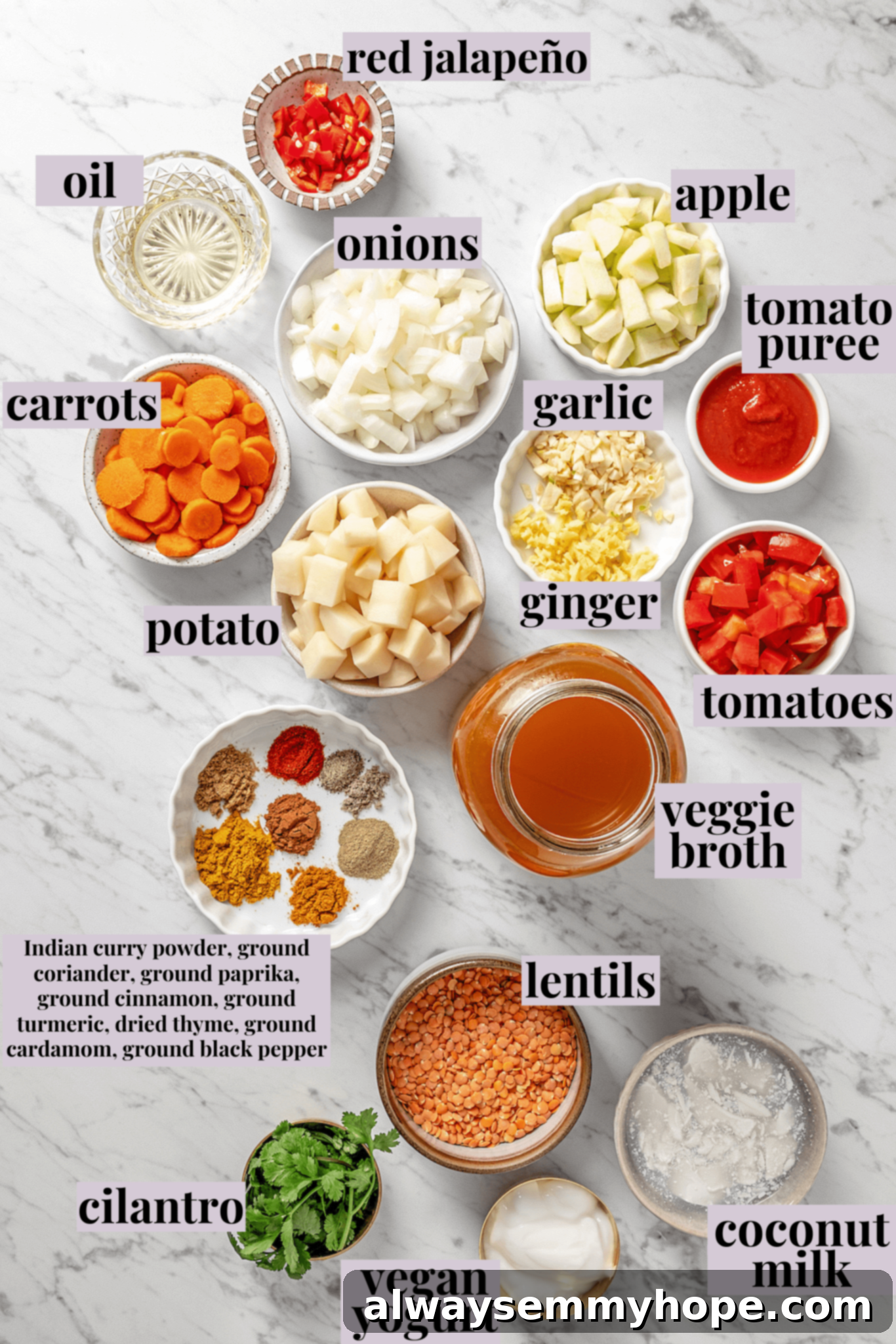 Overhead view of fresh ingredients neatly arranged for making vegan mulligatawny soup.