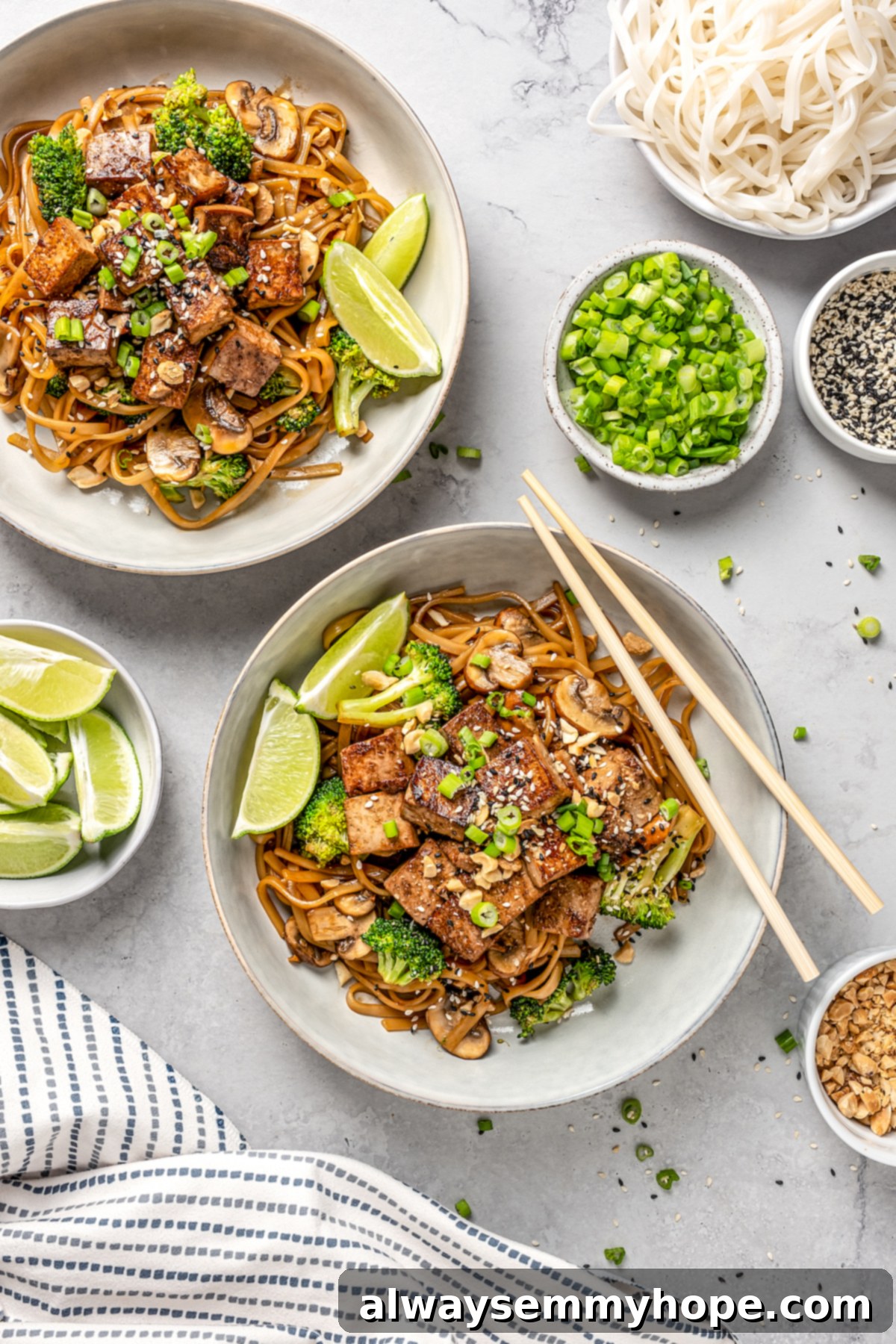 This vegan pad see ew pairs rice noodles, vegetables, and tofu with a sweet, savoury, and slightly tangy sauce for a restaurant-style meal! Overhead view of two aesthetically pleasing bowls of vegan pad see ew, garnished and ready to be served.