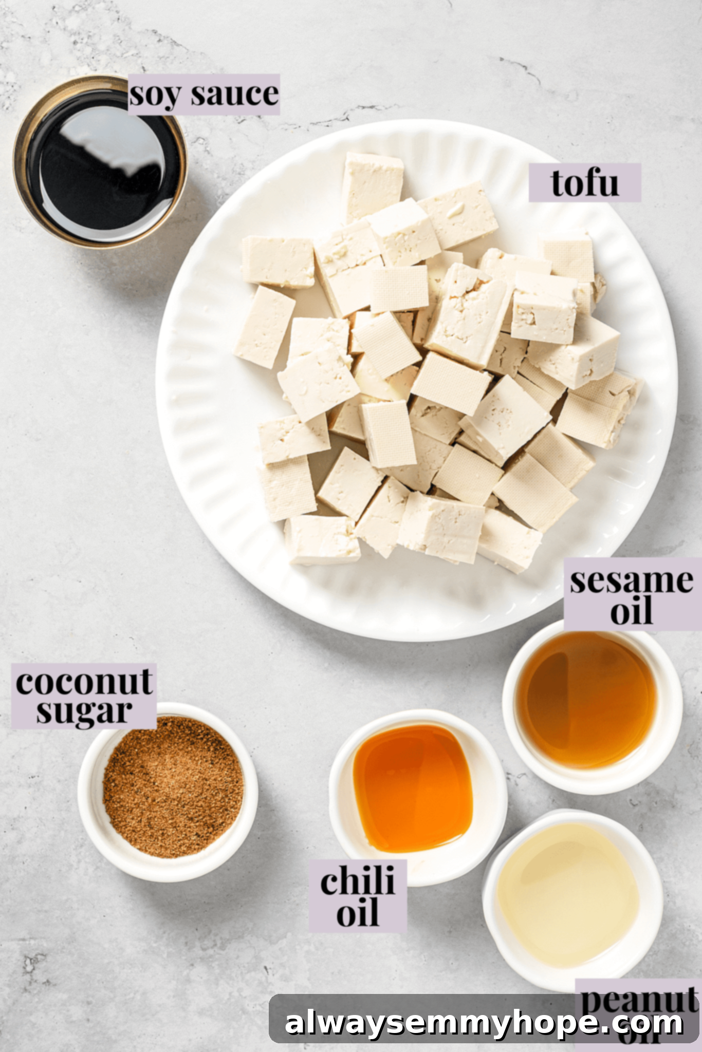 This vegan pad see ew pairs rice noodles, vegetables, and tofu with a sweet, savoury, and slightly tangy sauce for a restaurant-style meal! Overhead shot showcasing a variety of fresh ingredients laid out for vegan pad see ew: tofu, broccoli, mushrooms, garlic, ginger, and chilis.