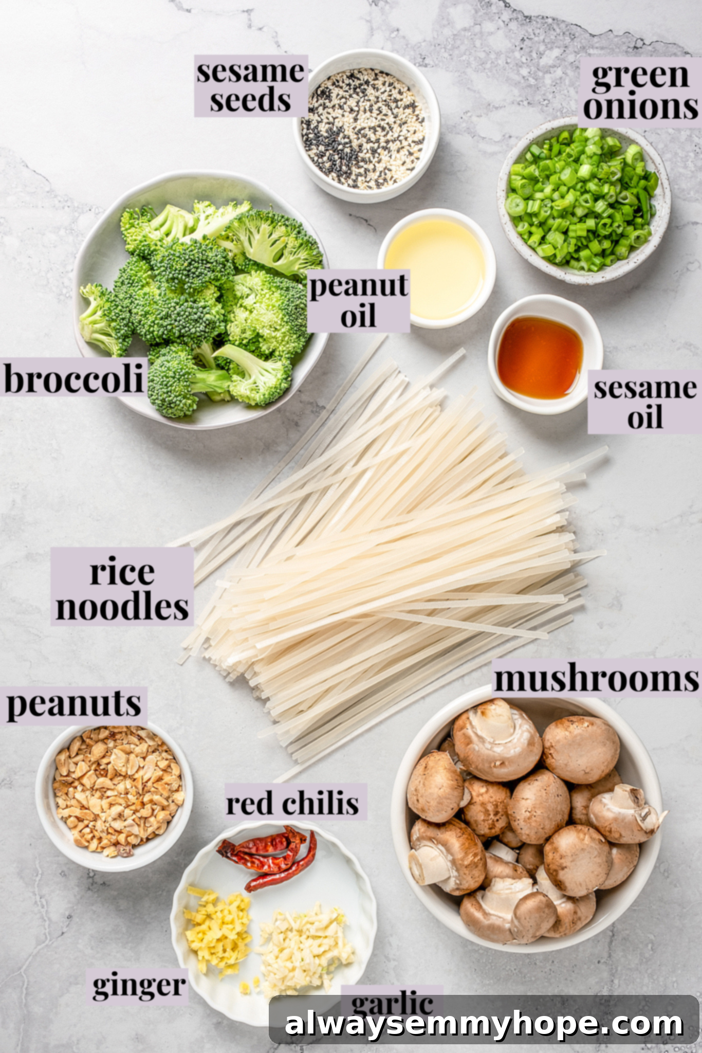 This vegan pad see ew pairs rice noodles, vegetables, and tofu with a sweet, savoury, and slightly tangy sauce for a restaurant-style meal! Overhead layout of all fresh ingredients for vegan pad see ew, including noodles, tofu, sauce components, and vegetables, ready for cooking.