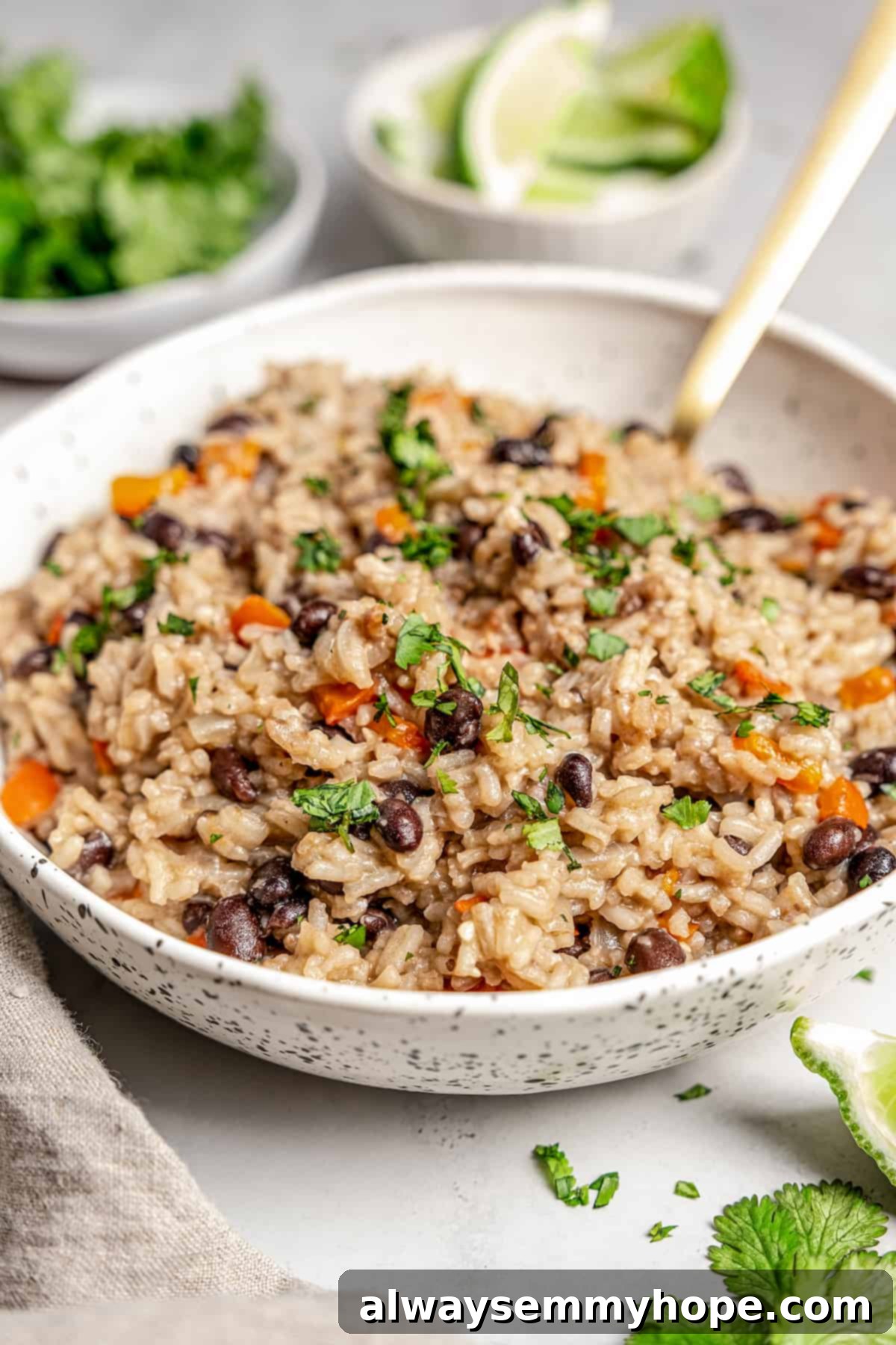 Bowl of congri Cuban rice and beans with spoon