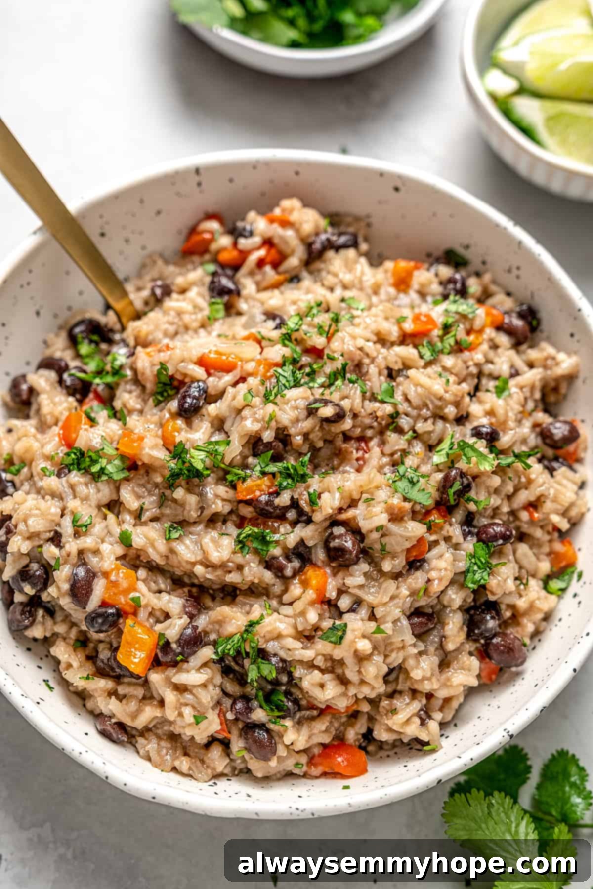 Overhead view of congri Cuban rice and beans in bowl