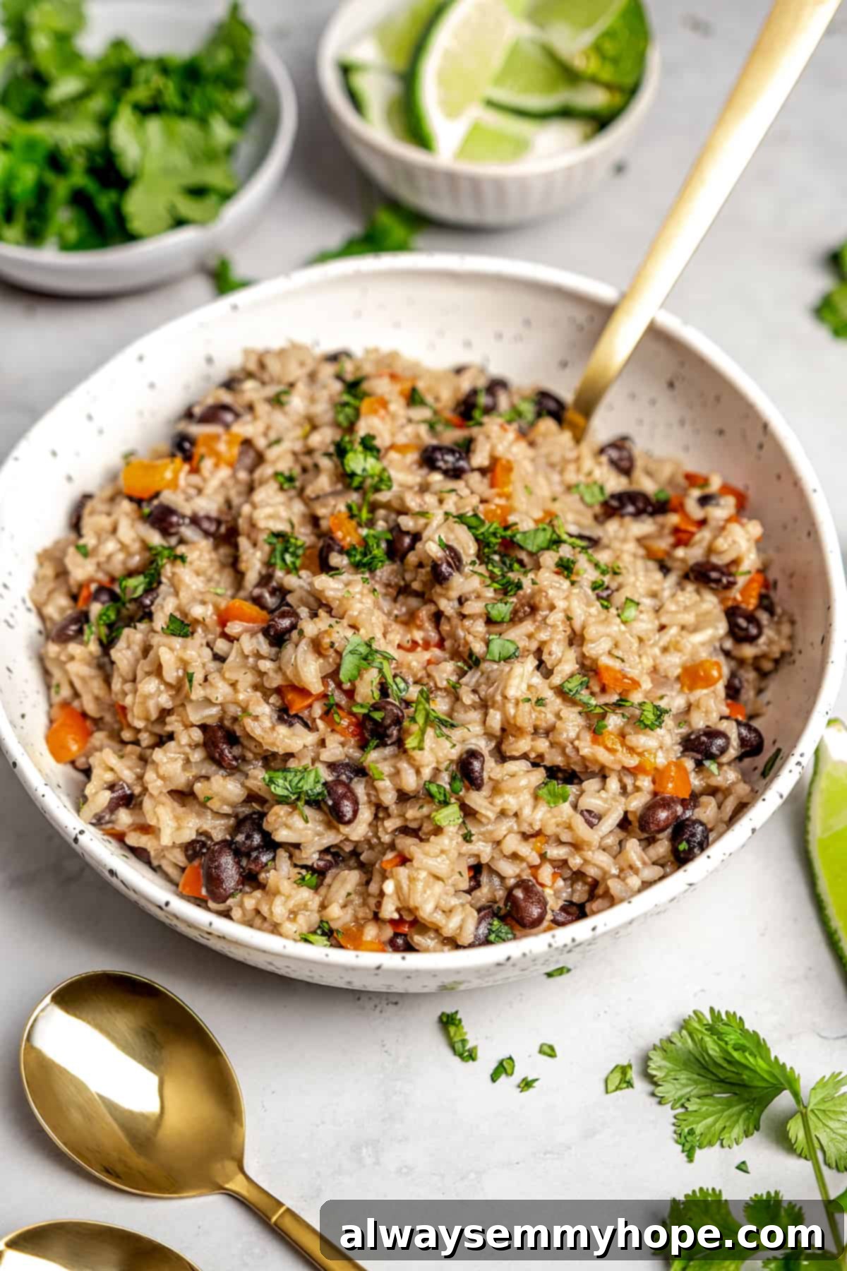 Bowl of congri Cuban rice and beans with gold spoon