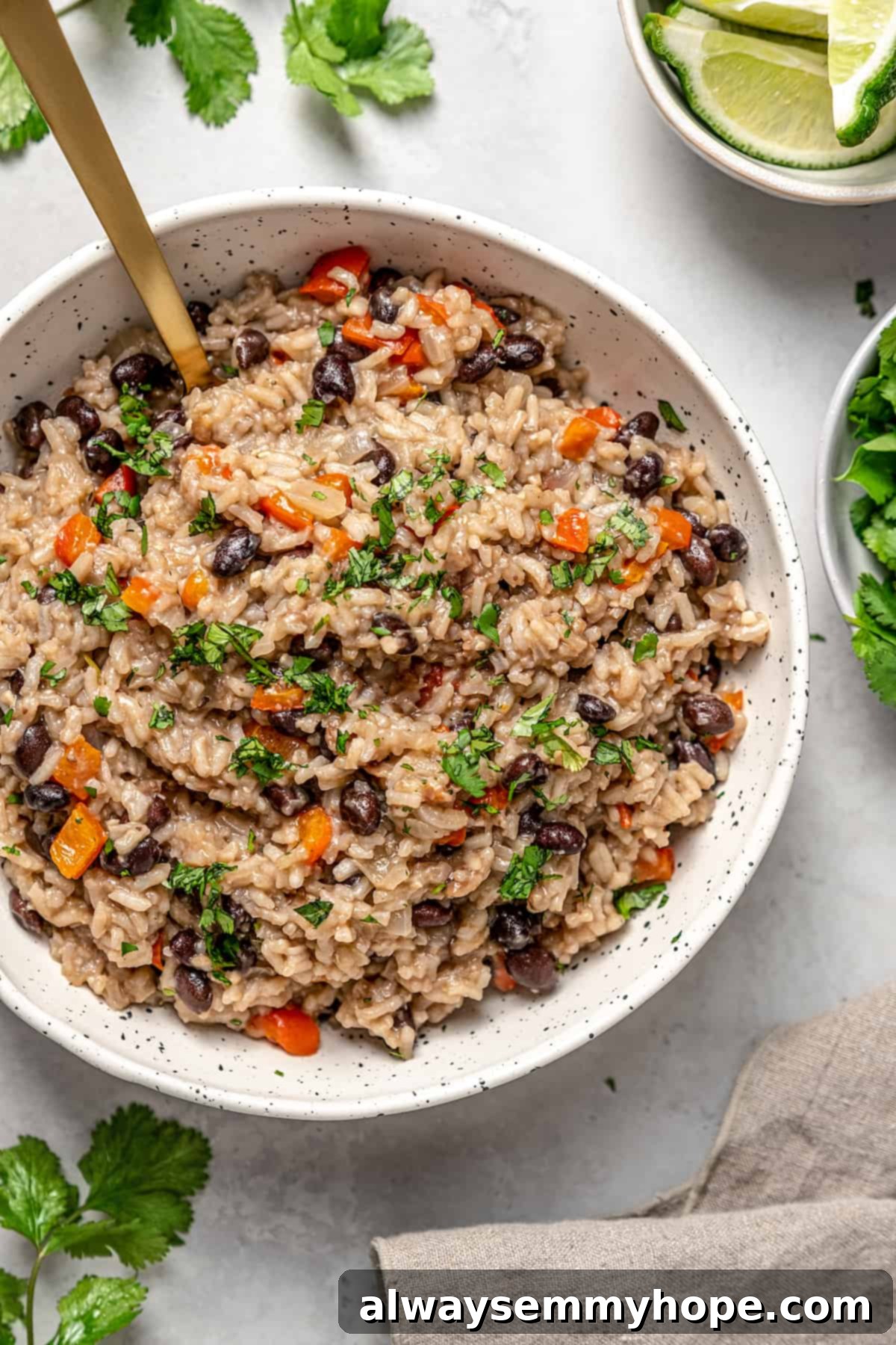 Overhead view of congri in bowl with garnishes