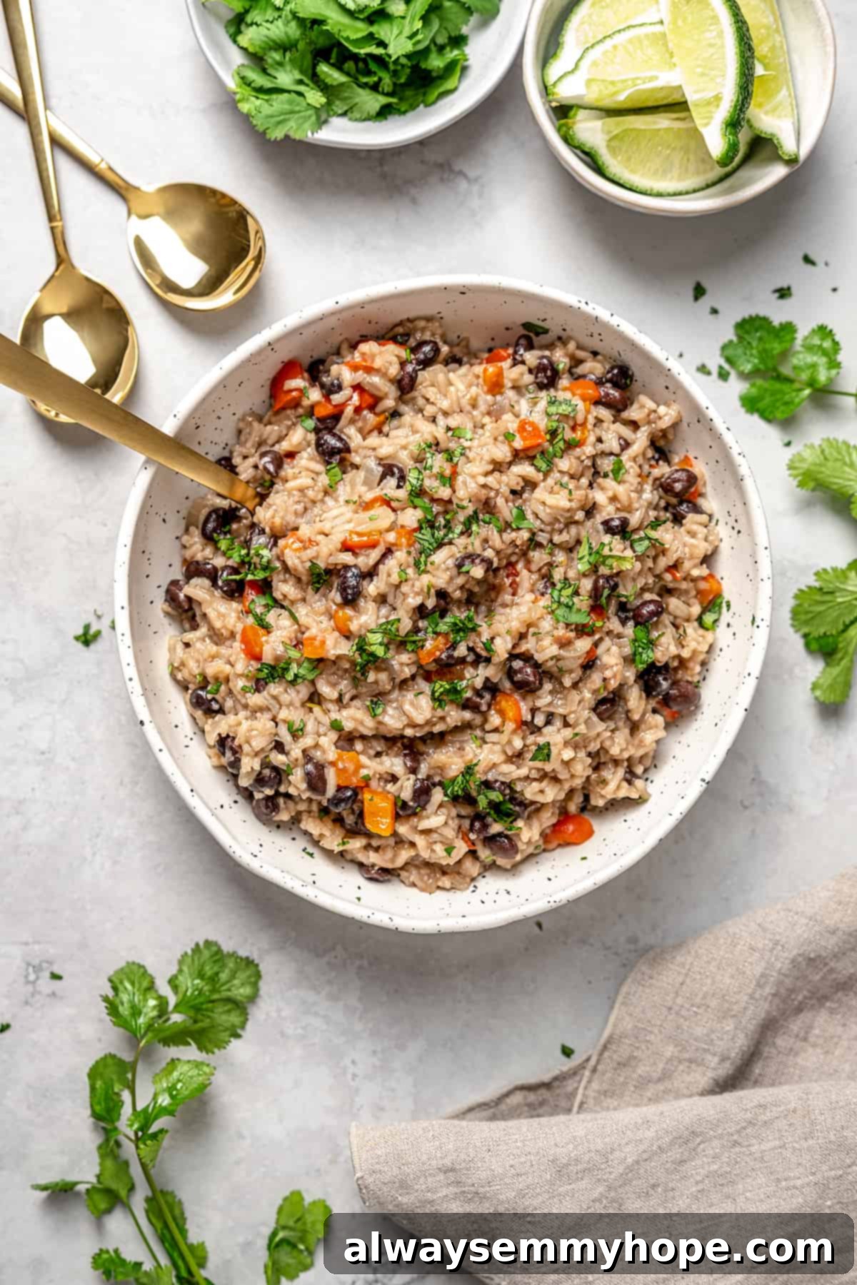 Overhead view of congri in bowl, surrounded by garnishes