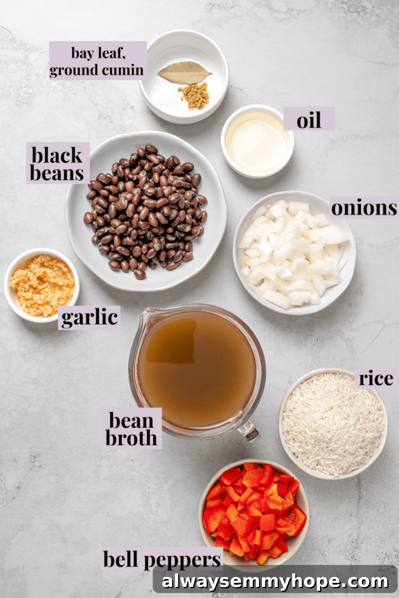 Overhead view of ingredients for congri with labels