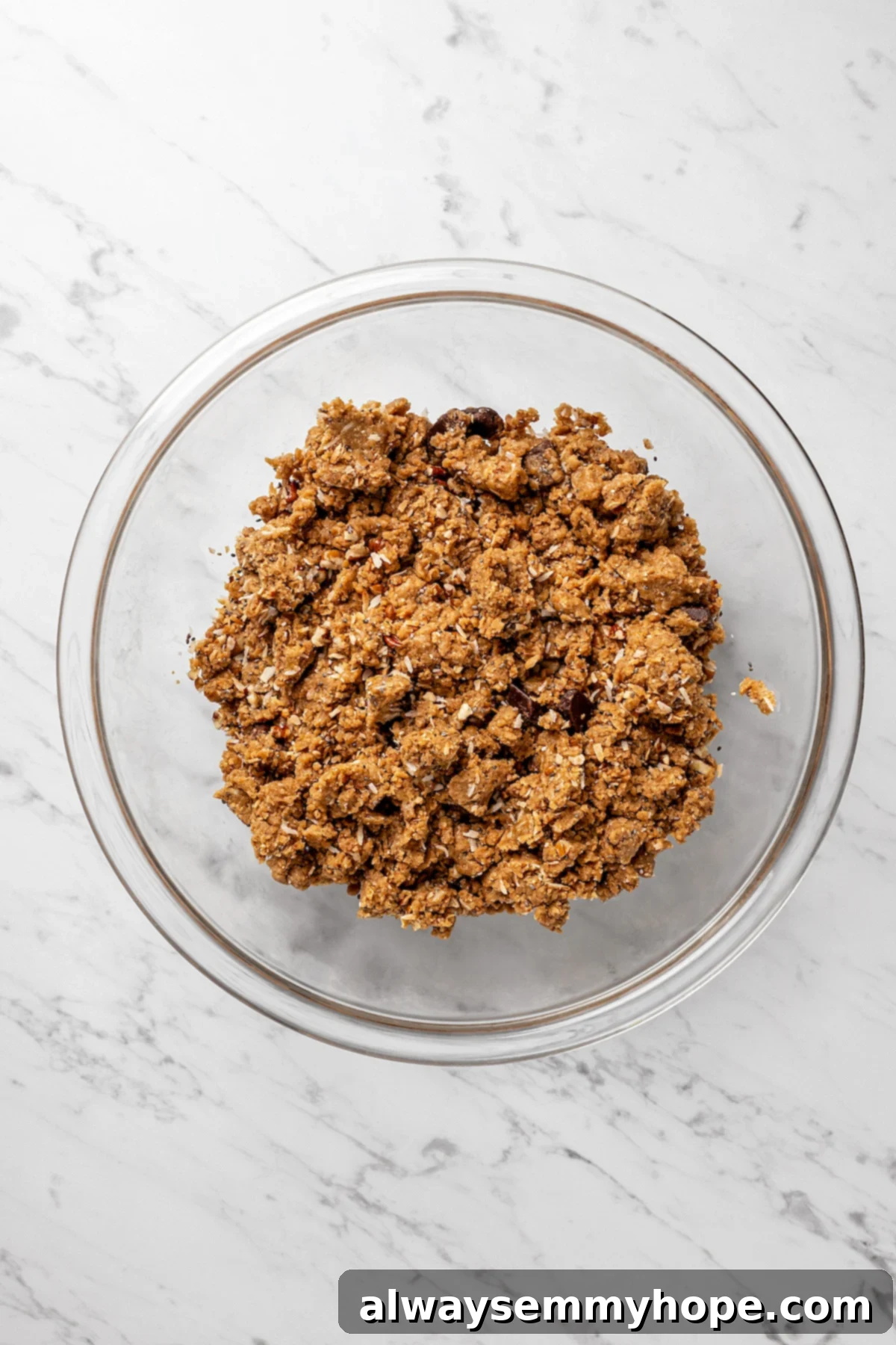 Folding in Delicious Mix-Ins to the Lactation Cookie Dough Overhead view of the finished vegan lactation cookie dough with toasted coconut, chocolate chips, pecans, and chia seeds folded in.