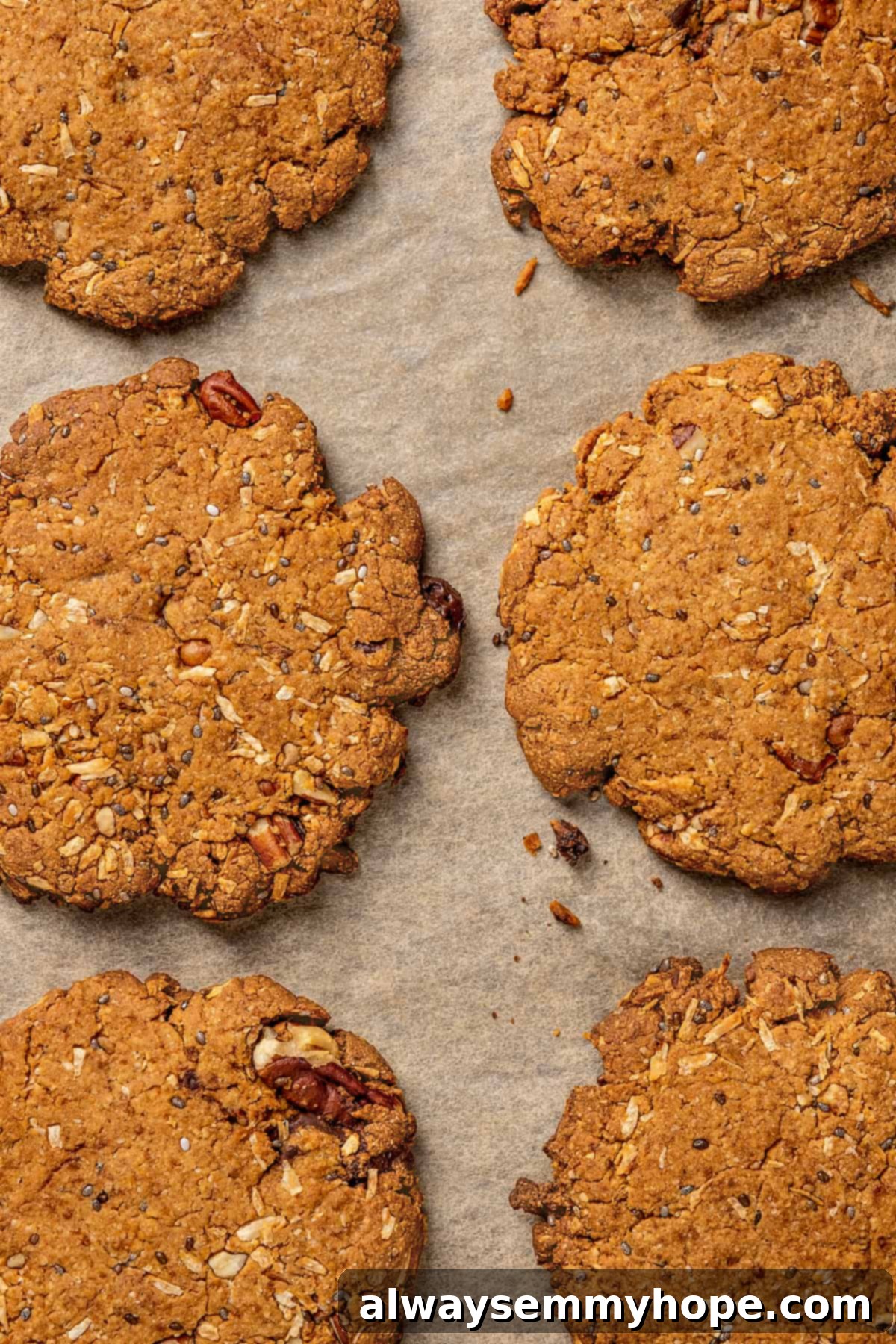 Freshly Baked Vegan Lactation Cookies, Ready to Enjoy Overhead view of two baked vegan lactation cookies on a piece of parchment paper, with visible chocolate chips, nuts, and a golden-brown crust.