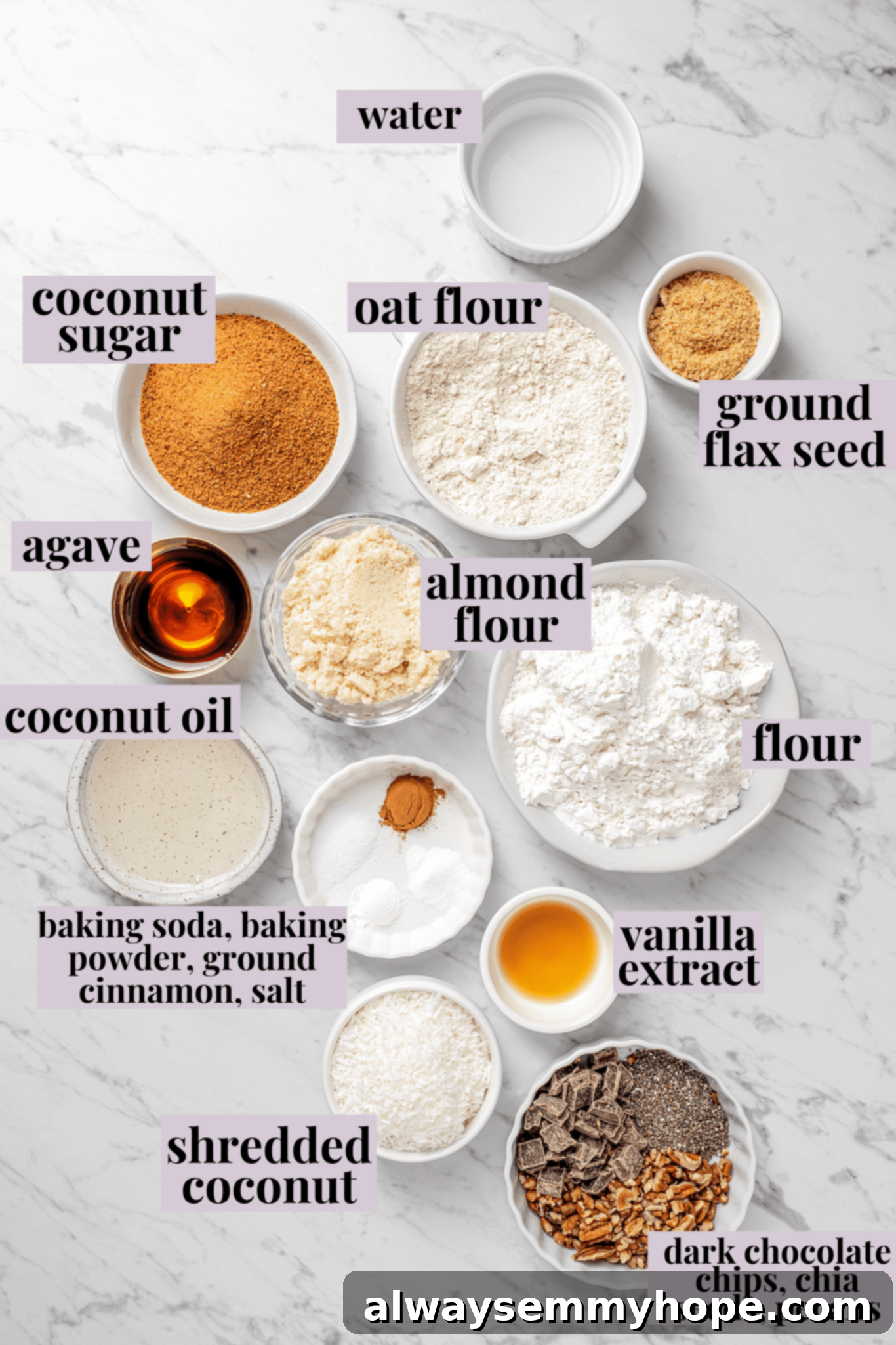 Essential Ingredients for Your Homemade Vegan Lactation Cookies Overhead view of all individual ingredients for vegan lactation cookies laid out with labels on a light background, including flours, sugars, nuts, chocolate chips, and liquids.