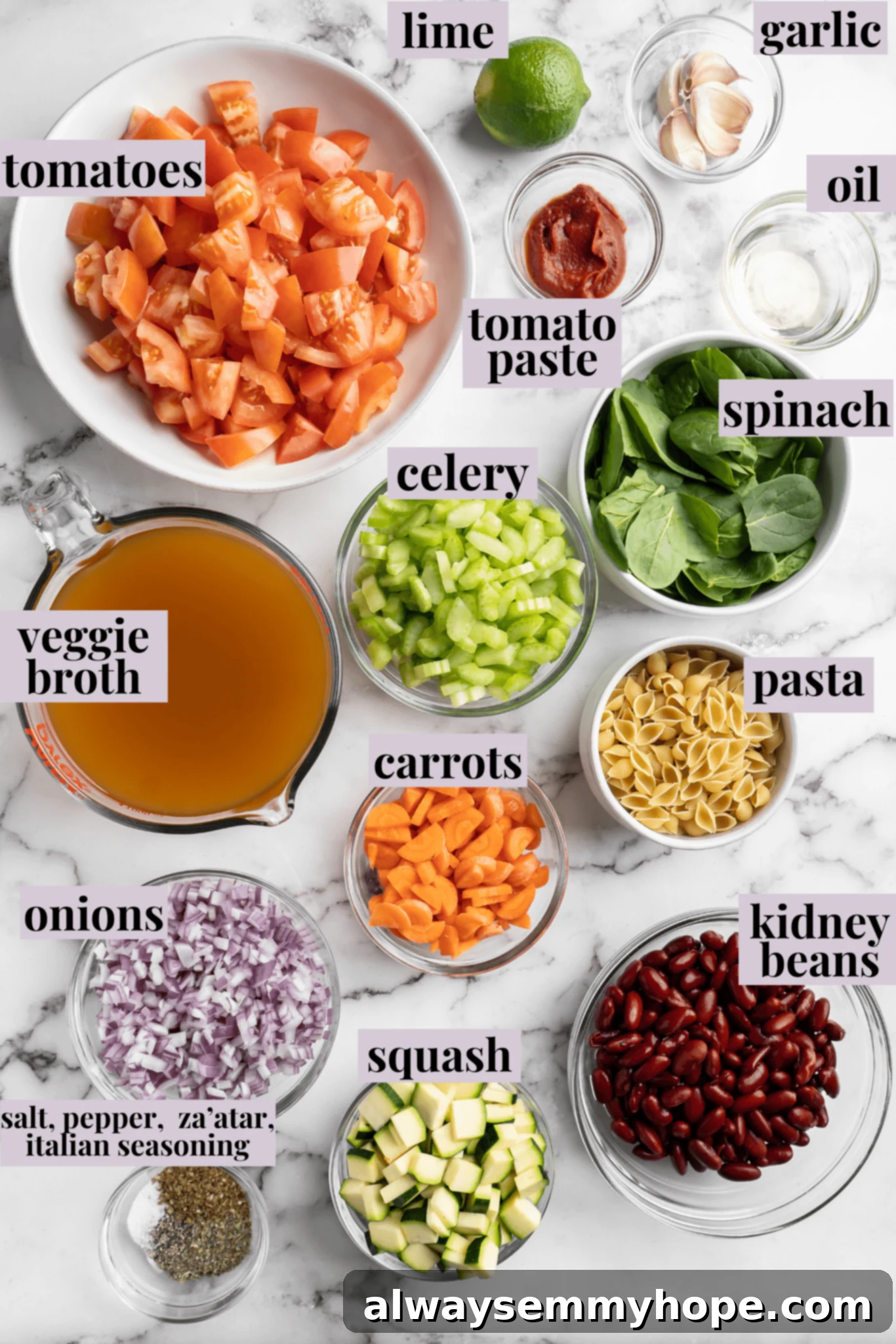 This vegetable minestrone soup is hearty comfort food at its best! Load it with veggies, beans, and pasta and enjoy a cozy one-pot meal. Overhead view of ingredients for minestrone soup with labels