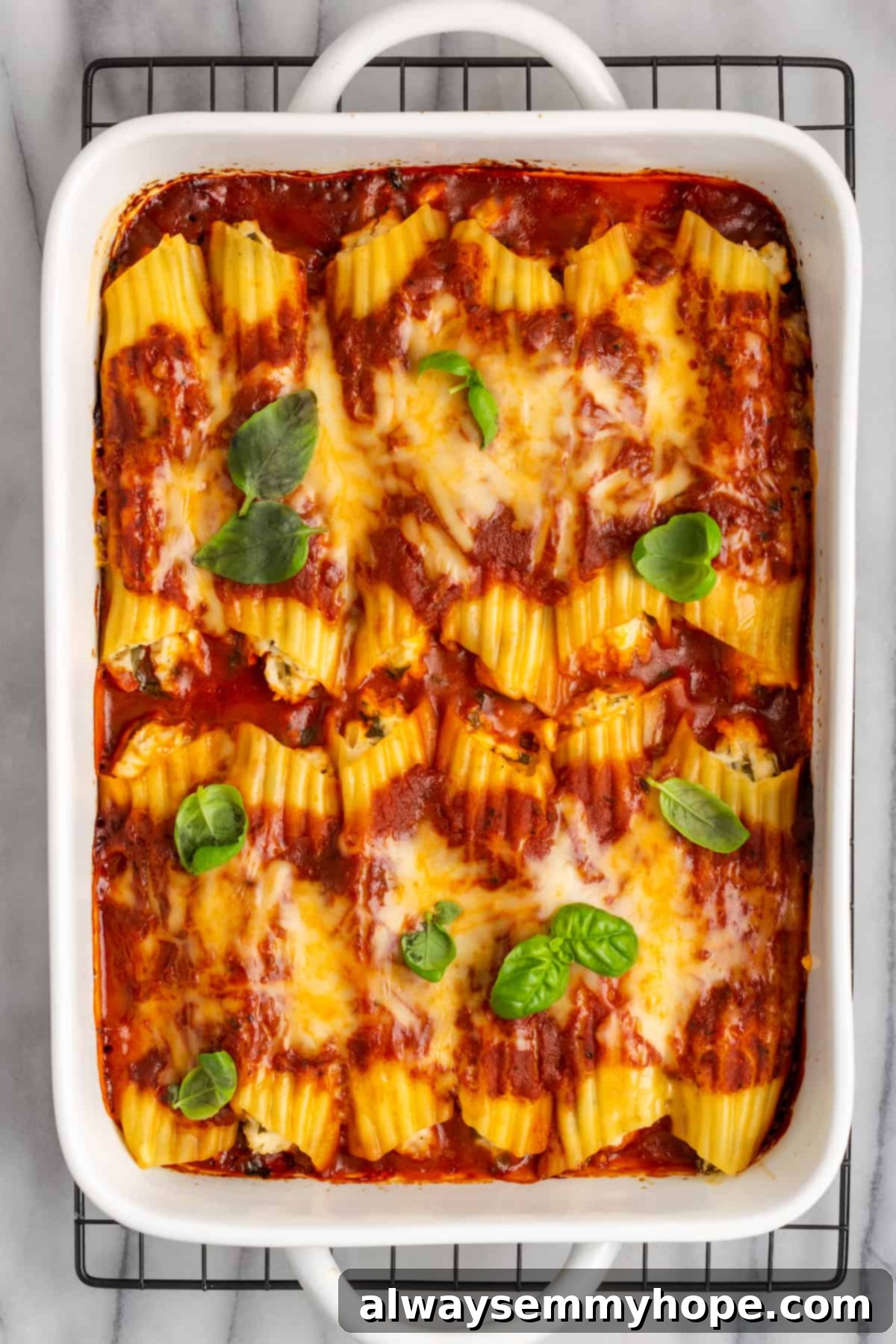 Hot and fresh vegan manicotti straight from the oven, bubbling with sauce and melted cheese. A freshly baked dish of vegan manicotti, golden brown and bubbly from the oven, resting on a wire rack.