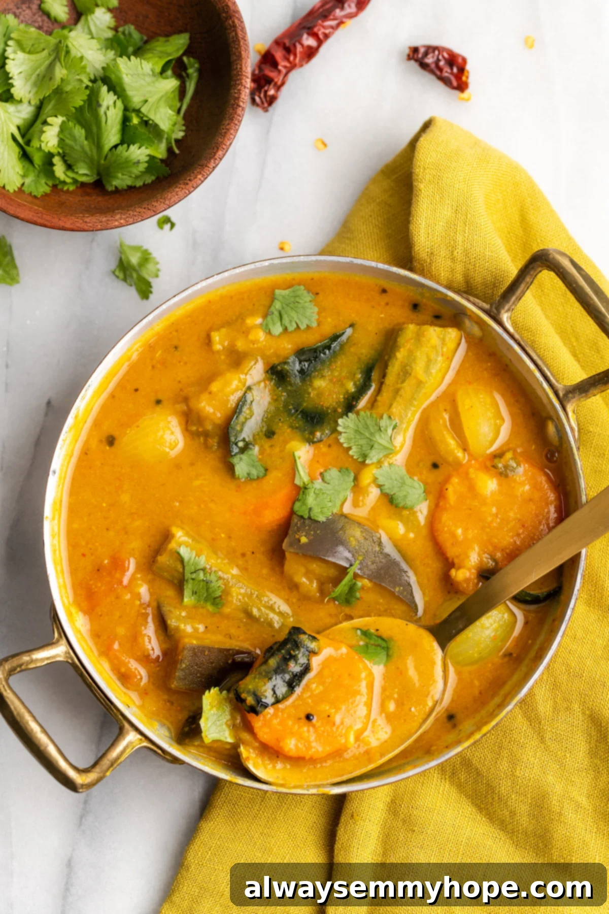 This vegan sambar is just like the sambar at your favourite Indian restaurant! Here's how to make this hearty lentil and veggie stew at home. Overhead view of vegan sambar in bowl with spoon, with small bowl of cilantro and red chilis in background