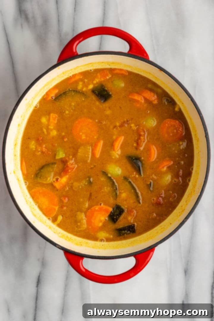 This vegan sambar is just like the sambar at your favourite Indian restaurant! Here's how to make this hearty lentil and veggie stew at home. Overhead view of cooked vegan sambar before tempering