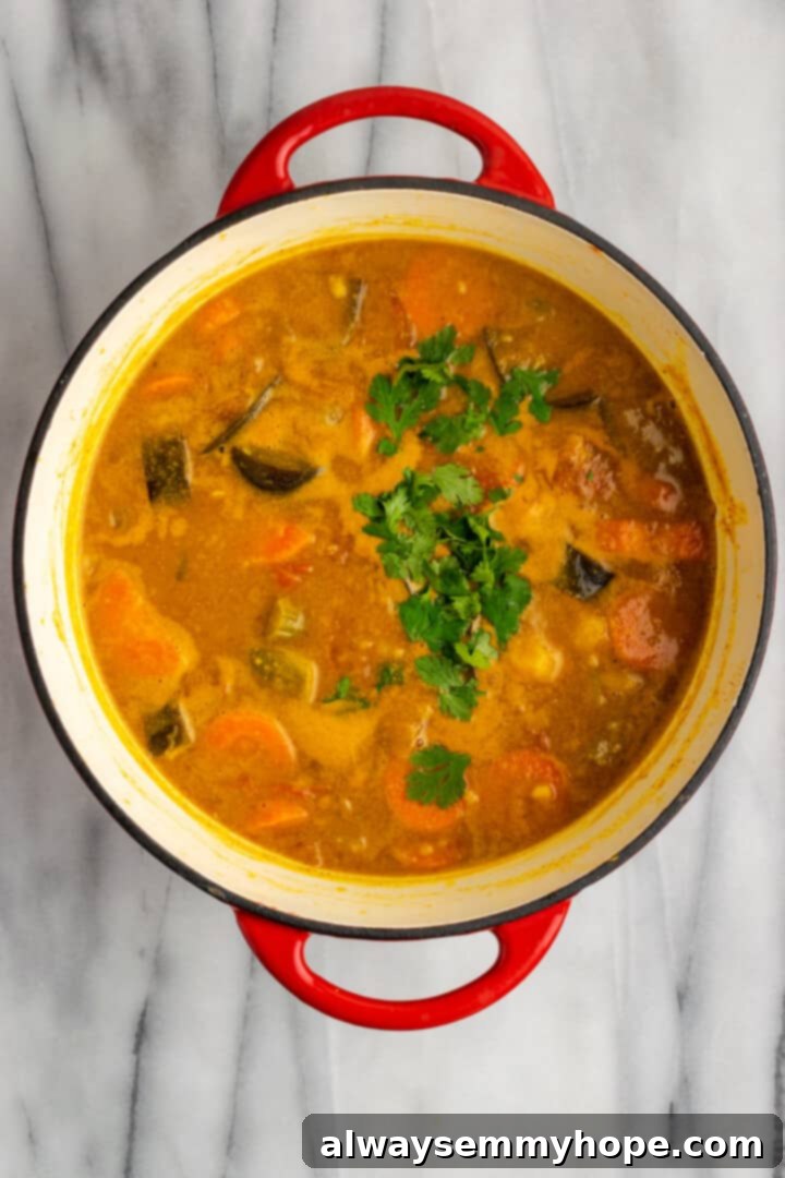 This vegan sambar is just like the sambar at your favourite Indian restaurant! Here's how to make this hearty lentil and veggie stew at home. Overhead view of vegan sambar topped with cilantro leaves