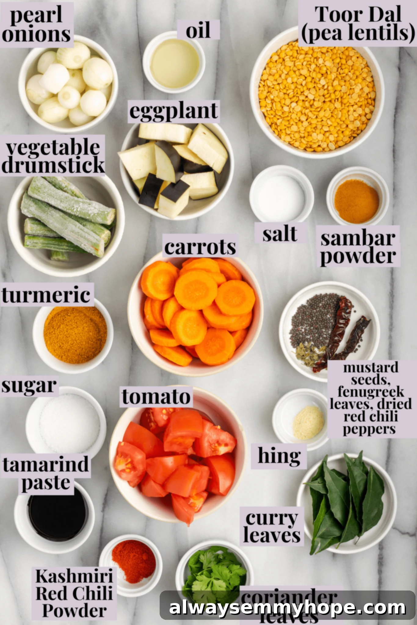 This vegan sambar is just like the sambar at your favourite Indian restaurant! Here's how to make this hearty lentil and veggie stew at home. Overhead view of ingredients for vegan sambar with labels