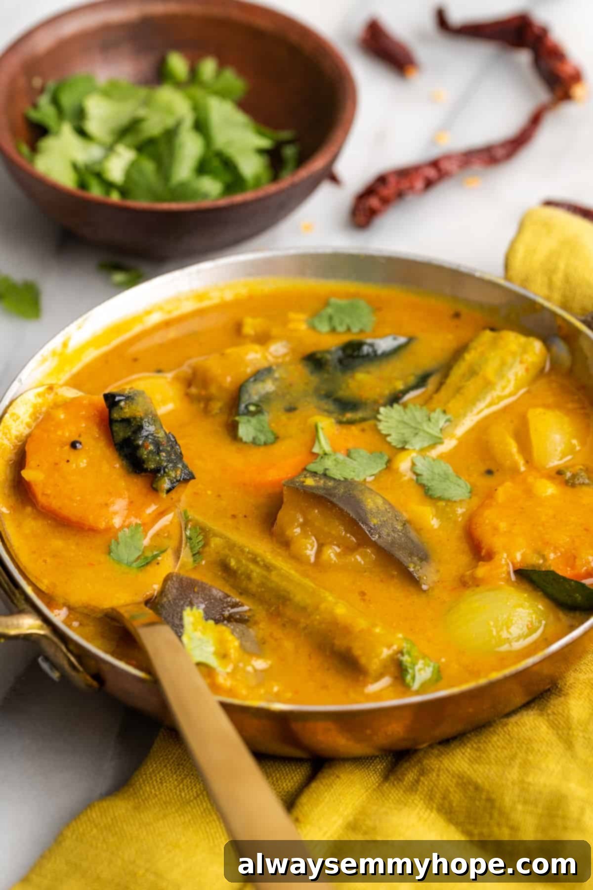 This vegan sambar is just like the sambar at your favourite Indian restaurant! Here's how to make this hearty lentil and veggie stew at home. Bowl of sambar with small bowl of cilantro leaves and dried chilis in background
