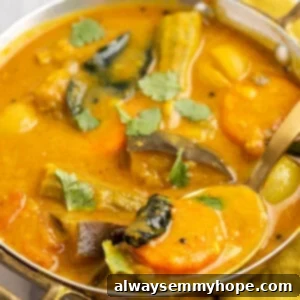 Sambar Deer 2 Spoonful of vegan sambar set in serving bowl