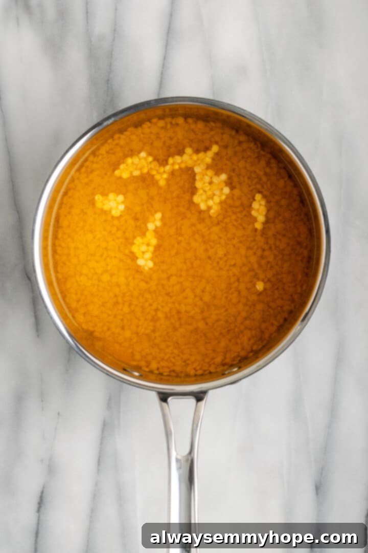 This vegan sambar is just like the sambar at your favourite Indian restaurant! Here's how to make this hearty lentil and veggie stew at home. Overhead view of lentils and water in saucepan