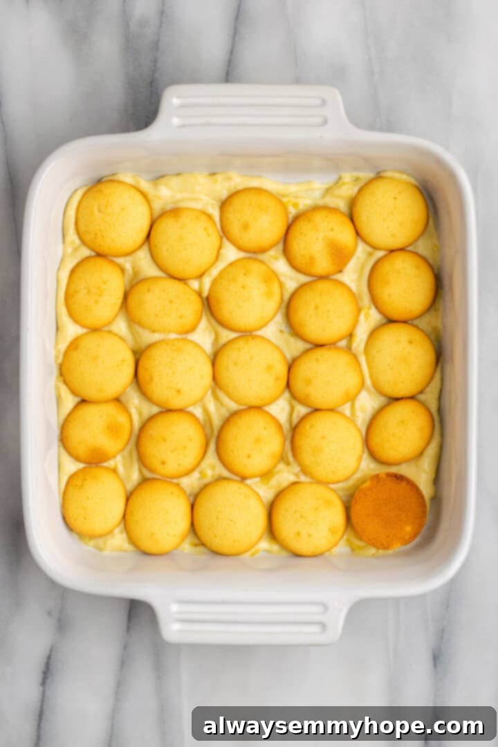 Layer of vegan vanilla wafers arranged over pudding in baking dish