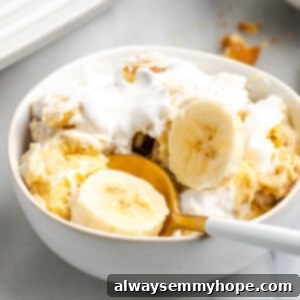 Close-up of a bowl of vegan banana pudding with a spoon