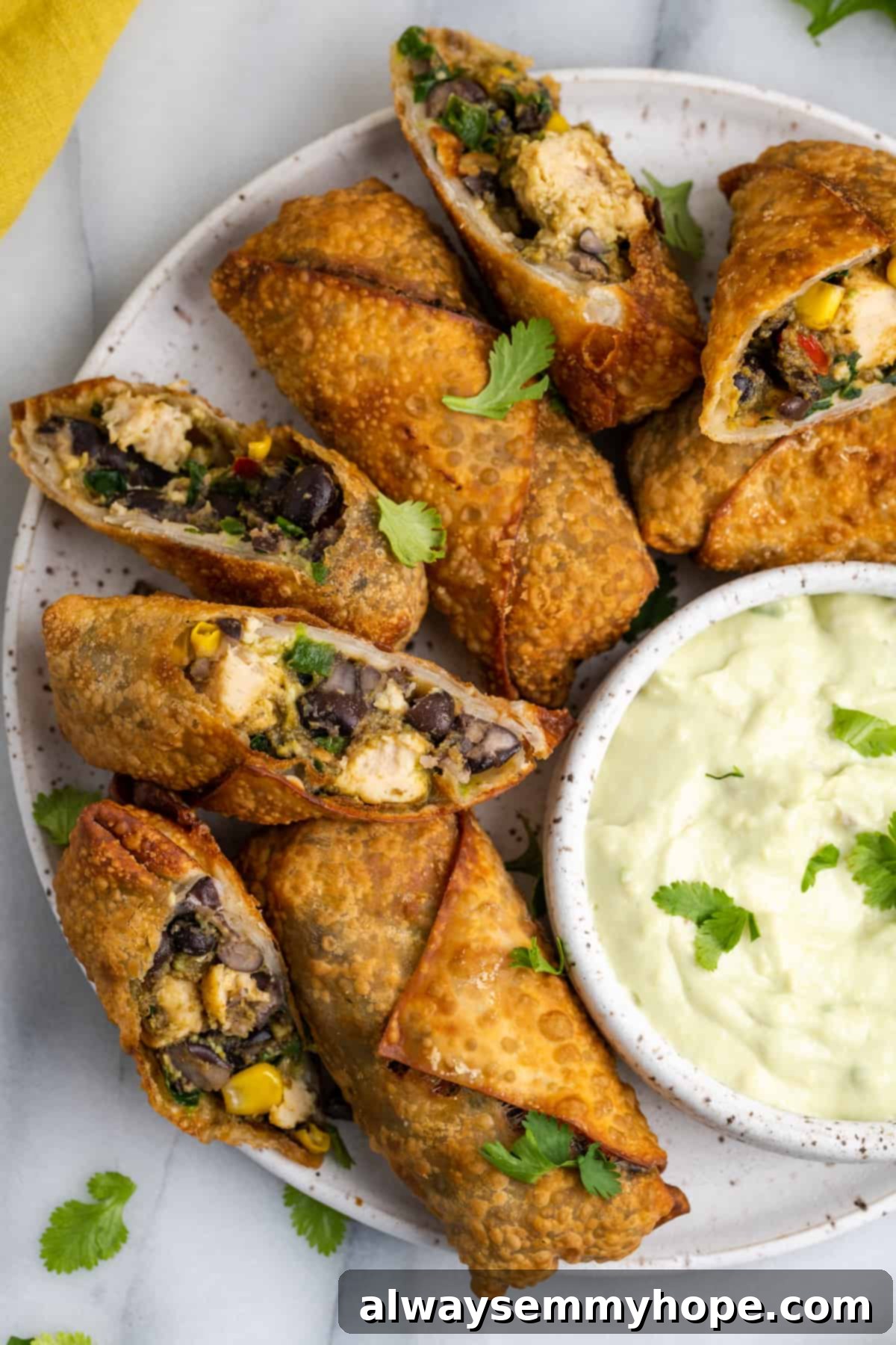 Overhead view of vegan southwest egg rolls on serving plate, with some cut open to show filling