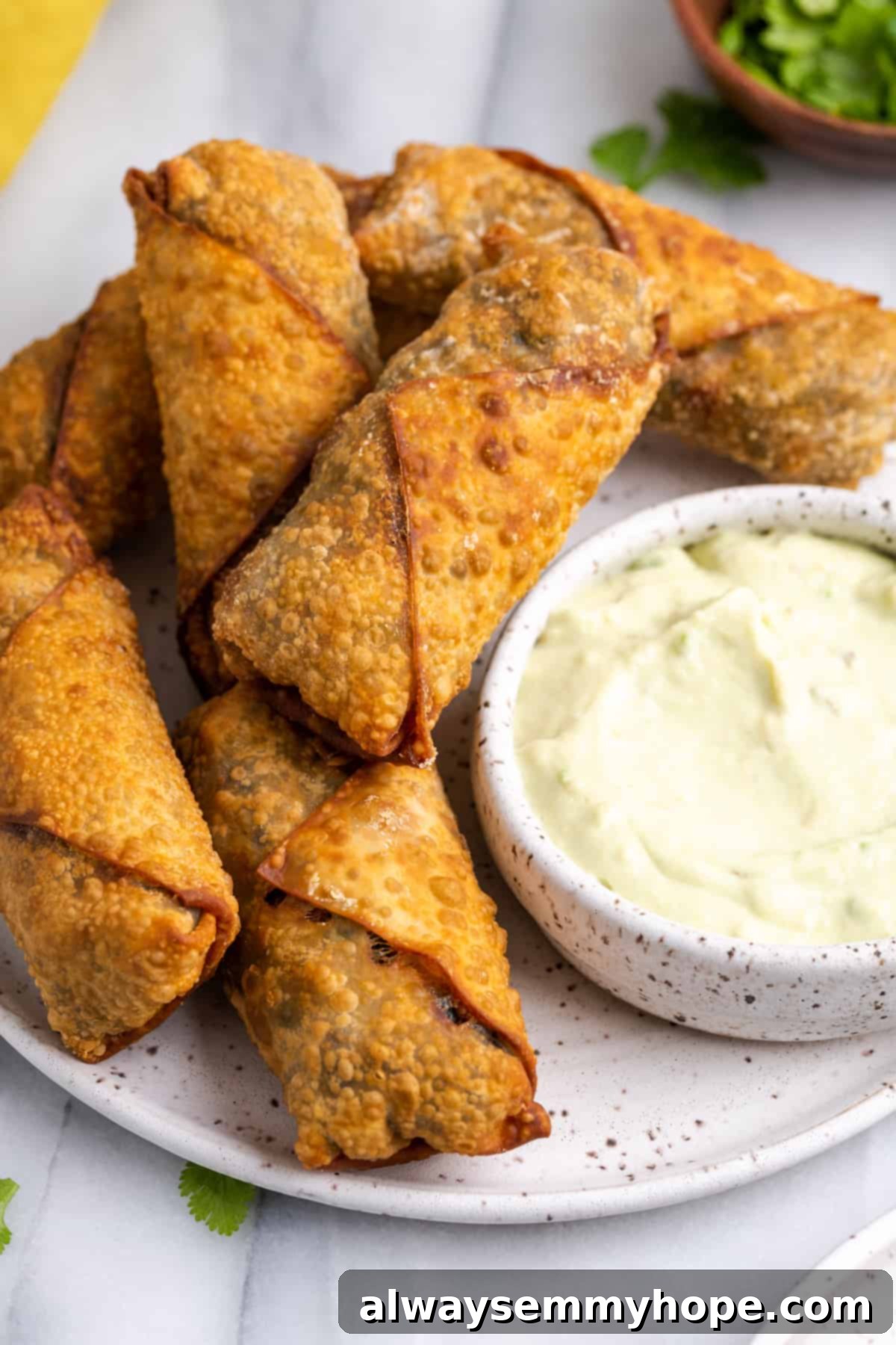 Vegan southwest egg rolls on plate with bowl of avocado dipping sauce