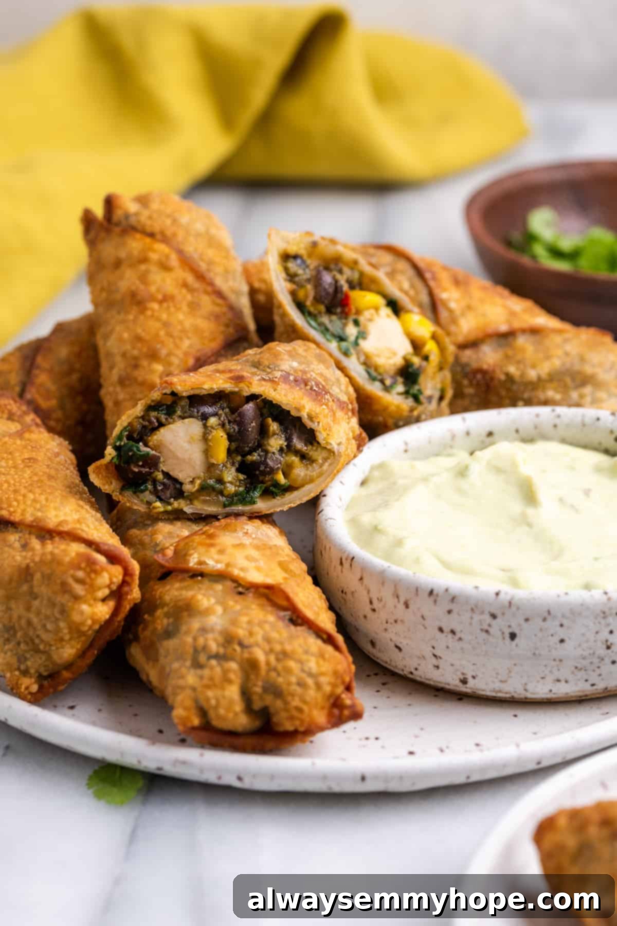 Vegan southwest egg rolls on plate with bowl of avocado dipping sauce