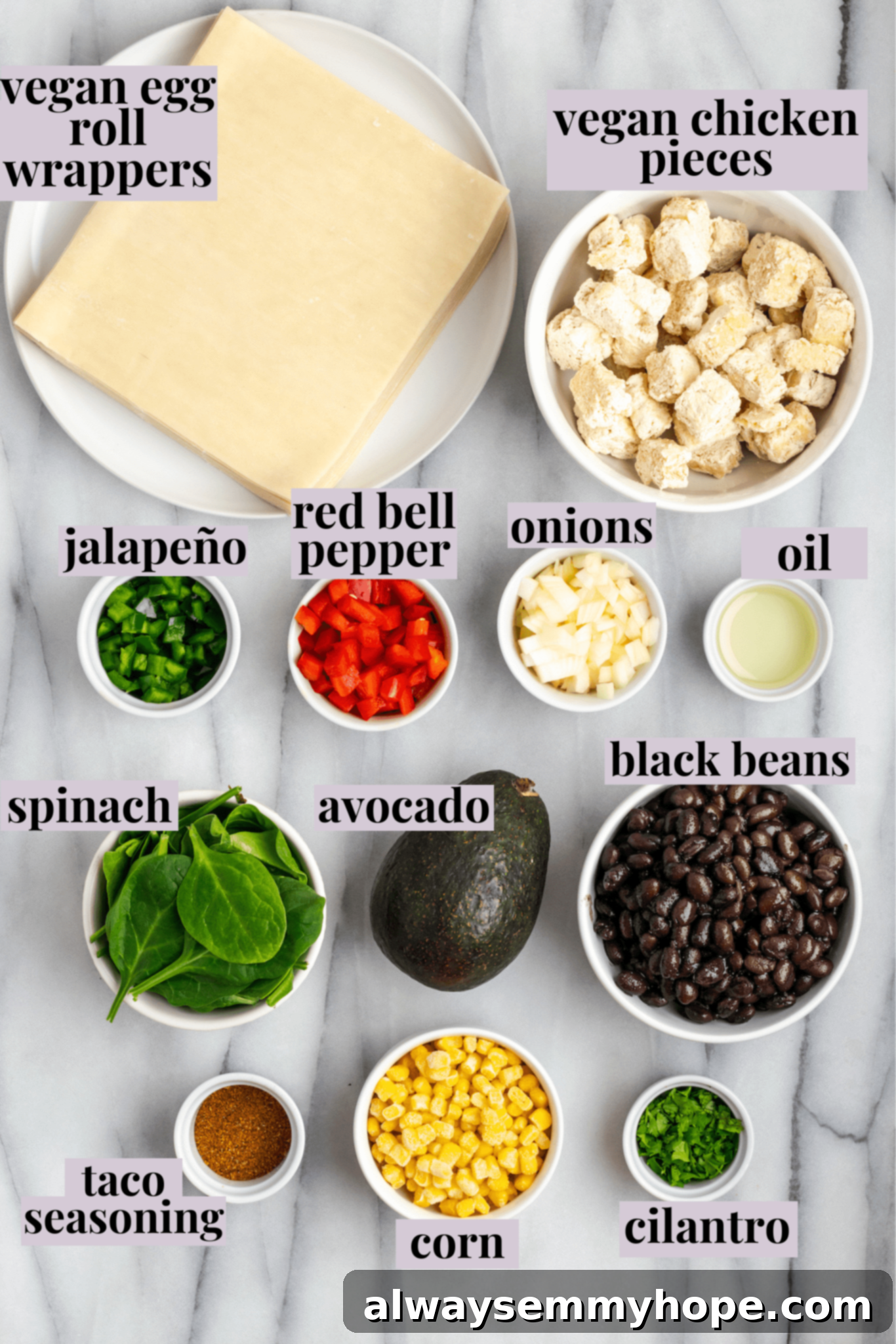 Overhead view of ingredients for vegan southwest egg rolls with labels