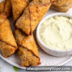 Vegan southwest egg rolls on plate with bowl of avocado dipping sauce