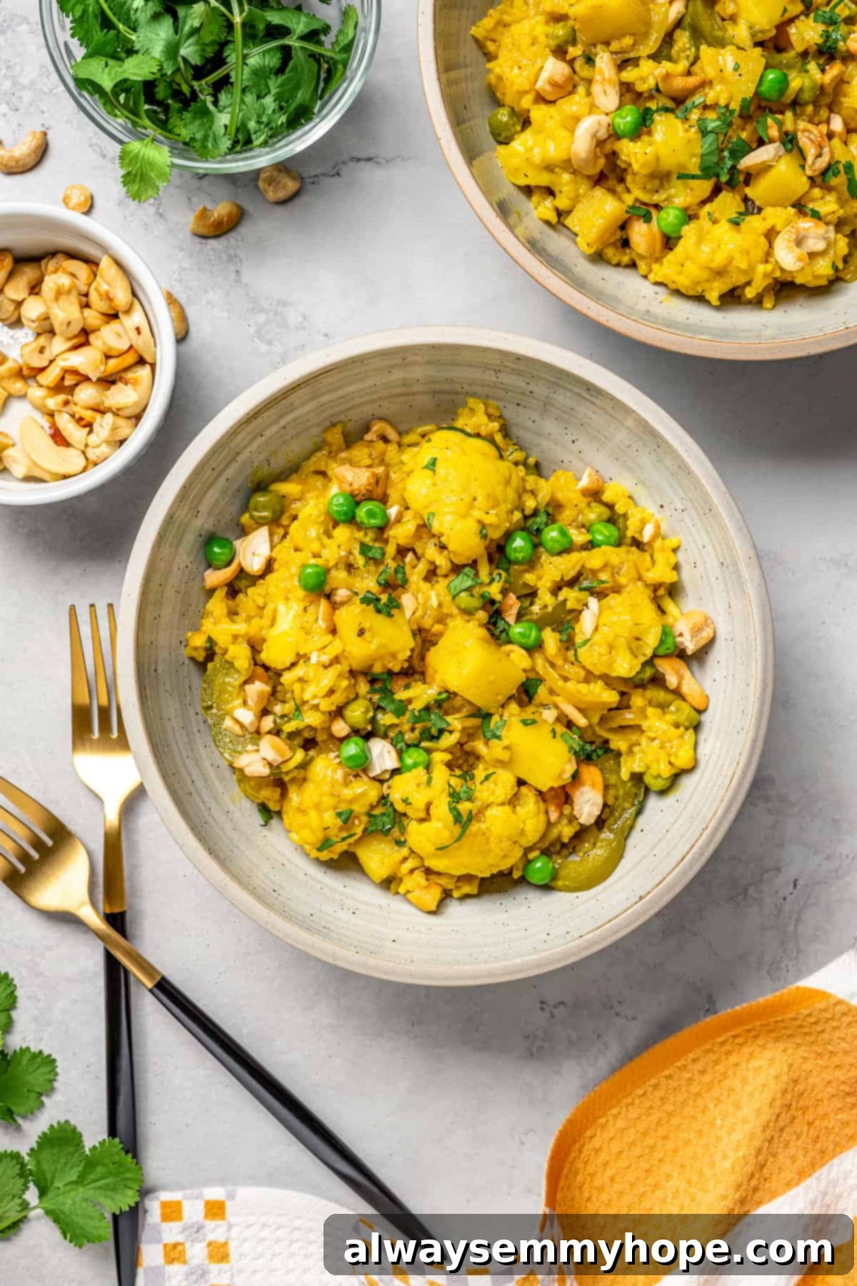 Delicious Vegan Vegetable Biryani: Fragrant, Flavorful, and Customizable Two bowls of fragrant vegan vegetable biryani garnished with fresh cilantro and toasted cashews, with forks nearby.