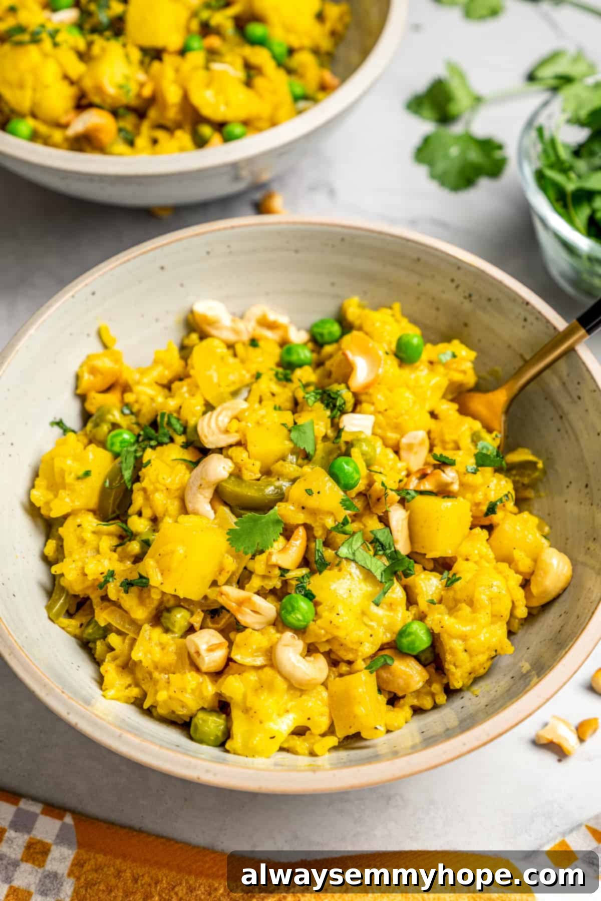 Individual Serving of Delicious Vegan Vegetable Biryani A single bowl of vegan vegetable biryani, garnished and ready to eat, with another blurred bowl in the background.